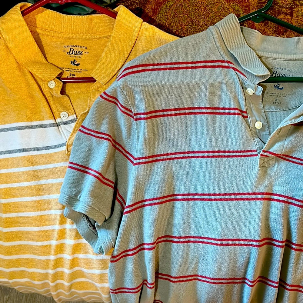 Bass Polo Bundle